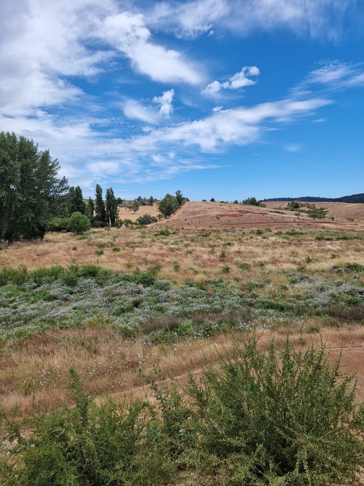 Terreno en Chépica