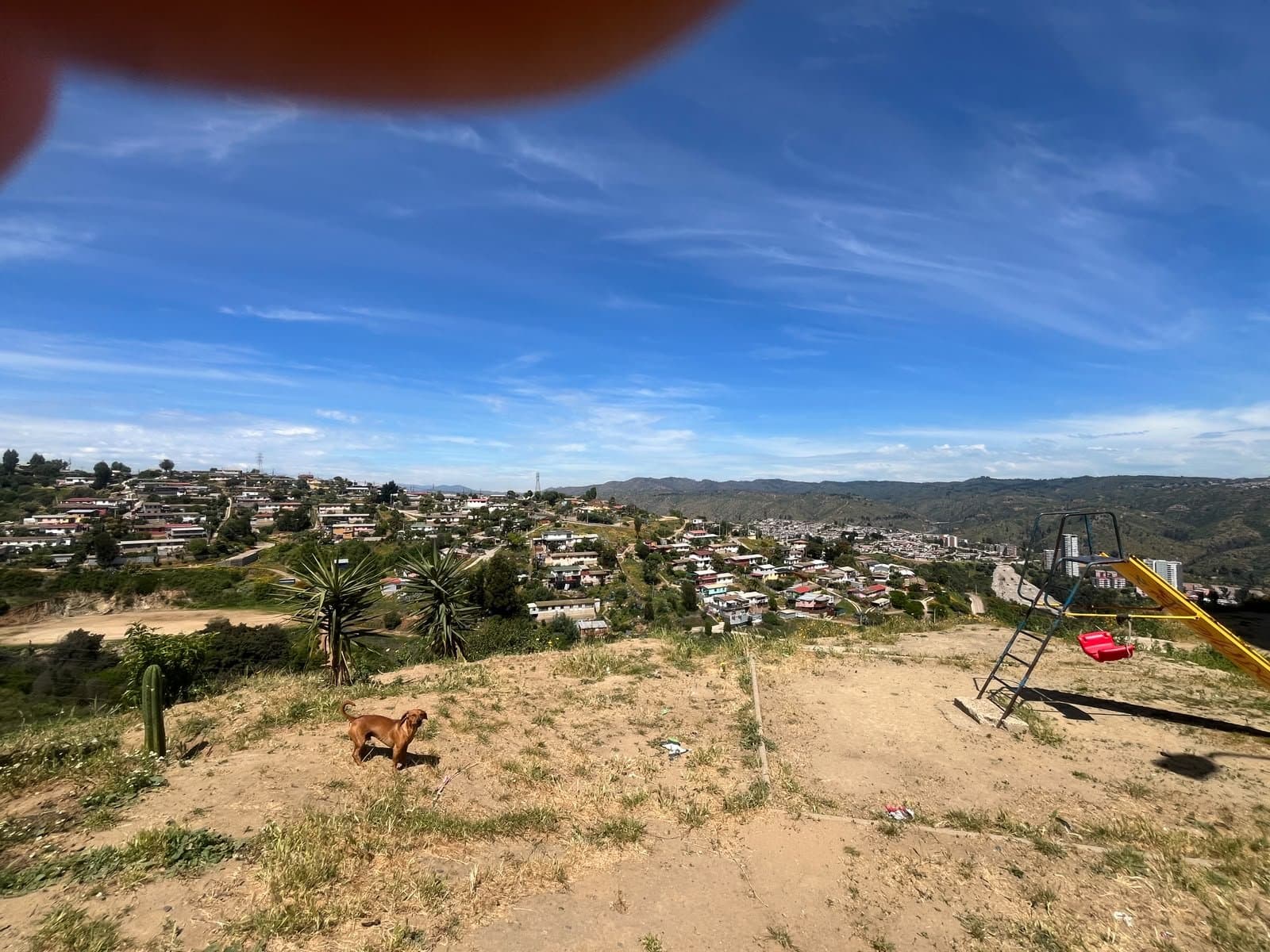 Departamento en Viña del Mar