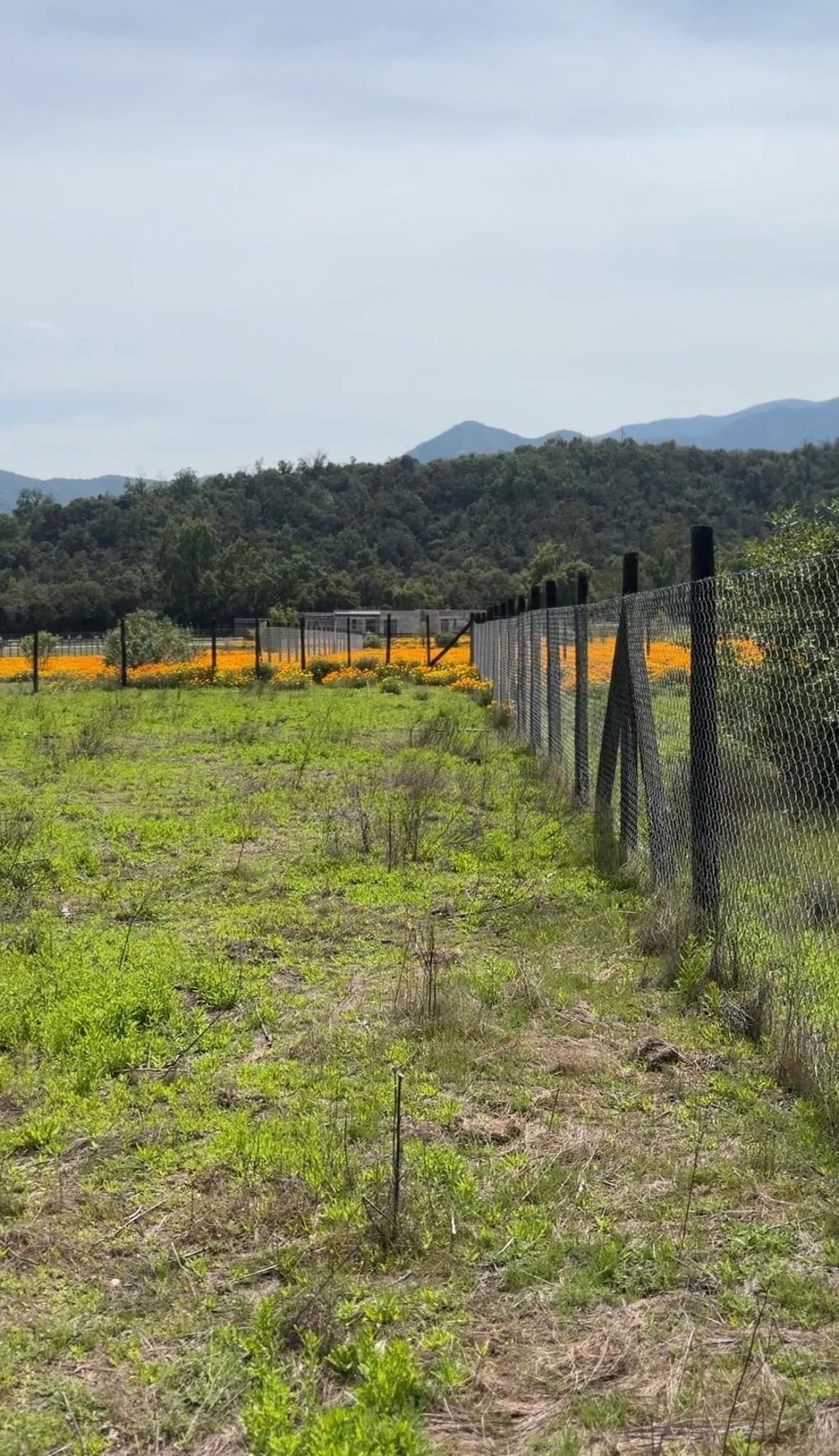 Terreno en venta, Casa blanca