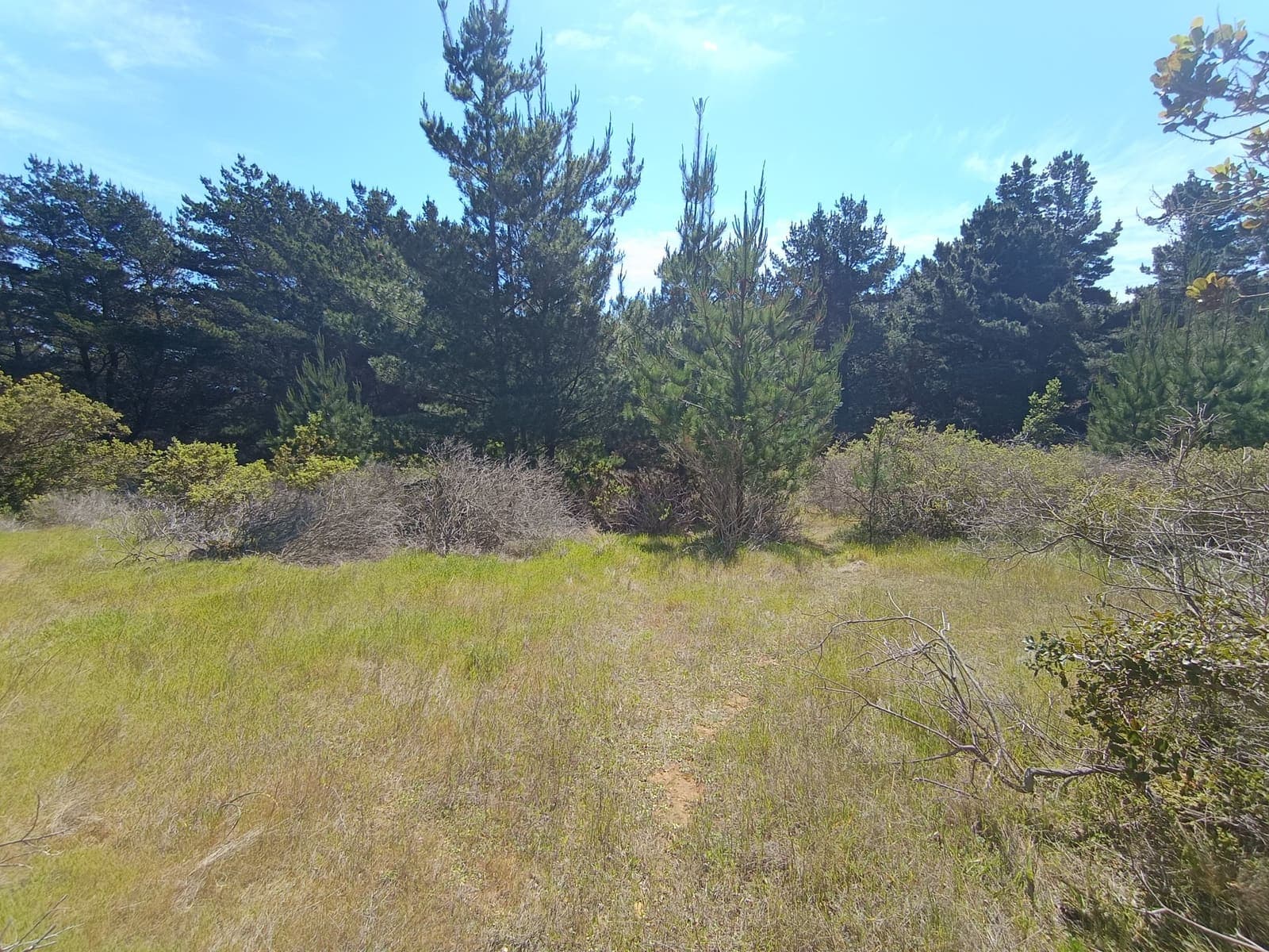 Terreno en venta, Laguna Verde