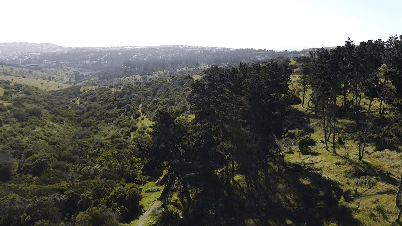 Terreno en San Antonio