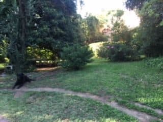 Terreno en La Reina