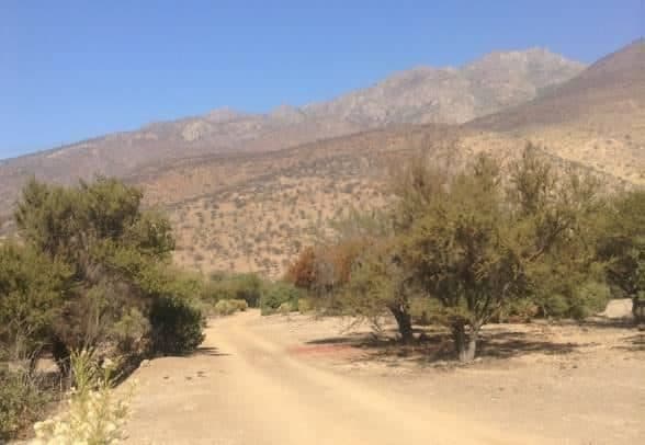 Terreno en venta, Tiltil