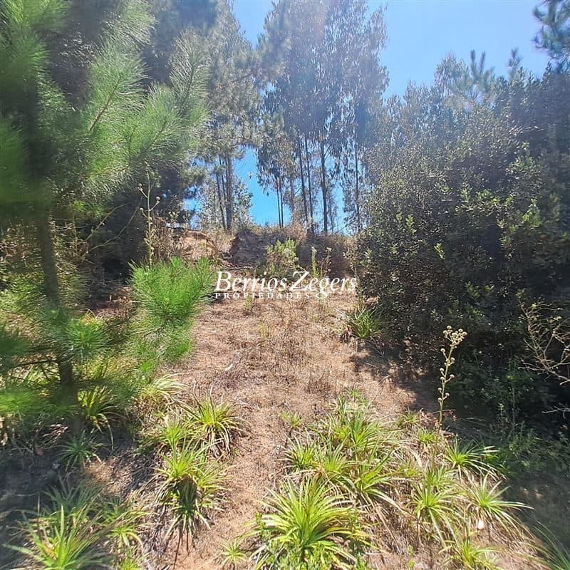 Terreno en Casablanca