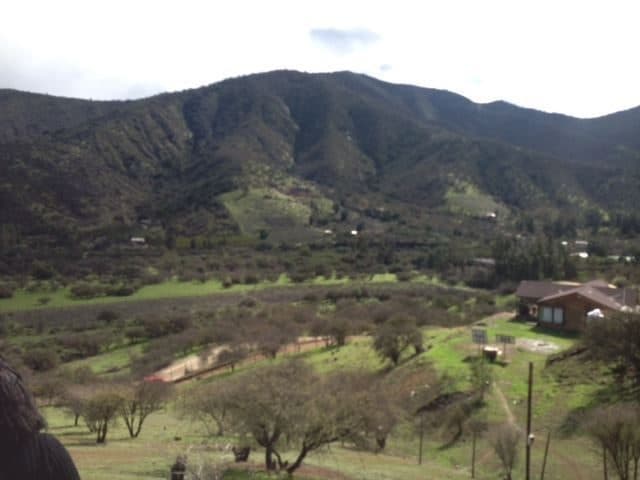 Terreno en Curacaví