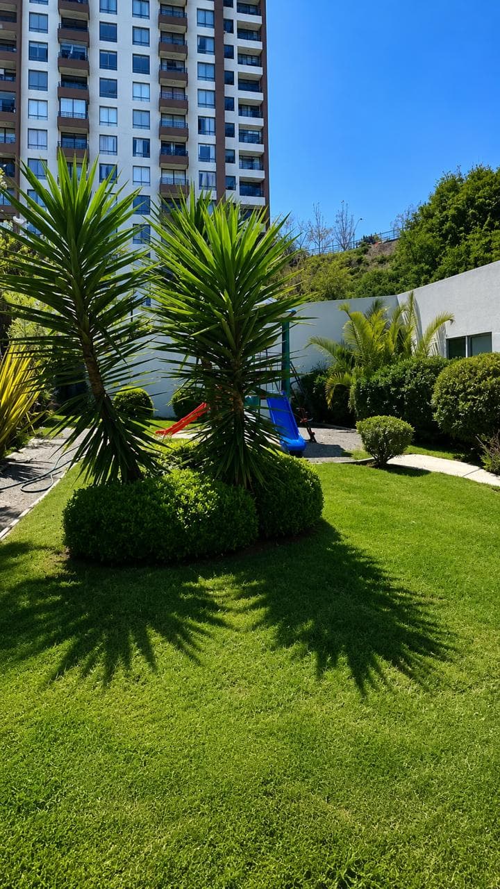 Departamento en Viña del Mar