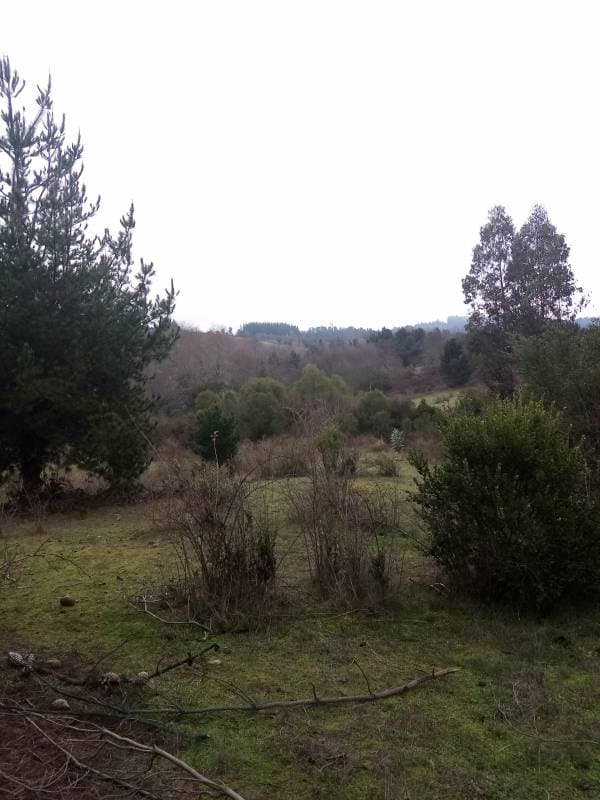 Campo en venta, Santa Juana