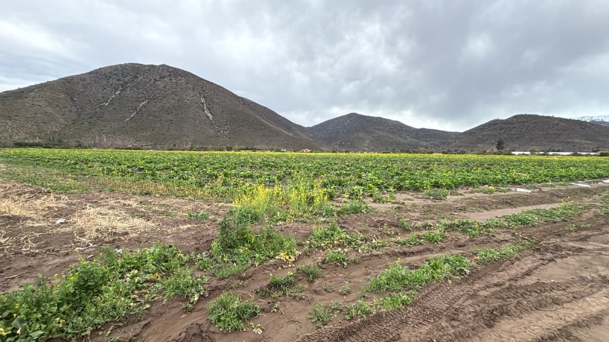 Terreno en Putaendo
