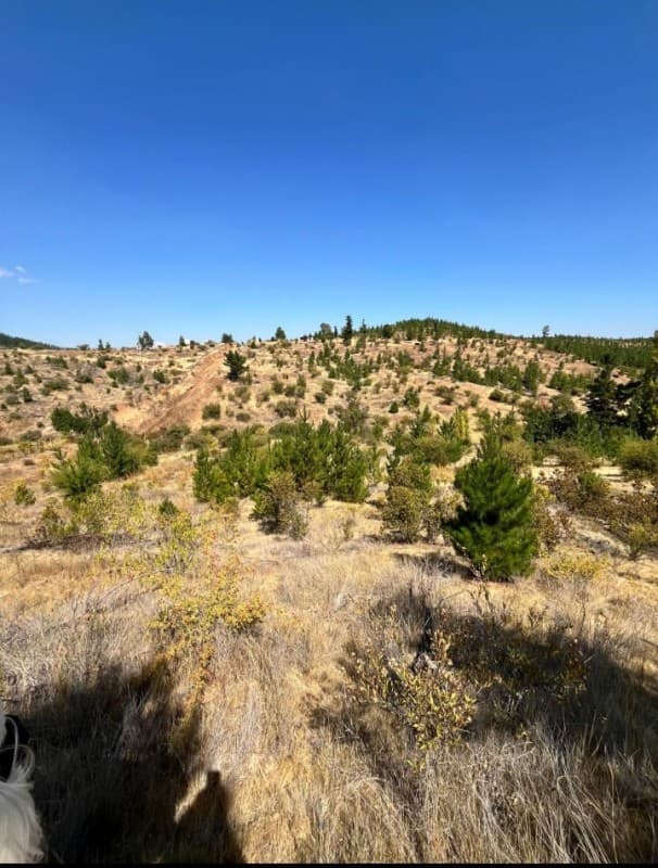 Parcela en venta, San Javier