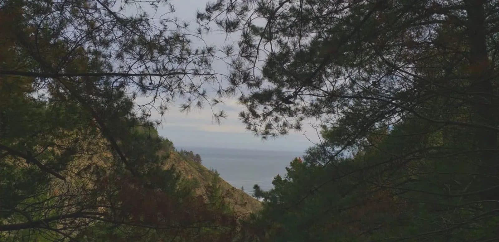Parcela en Navidad