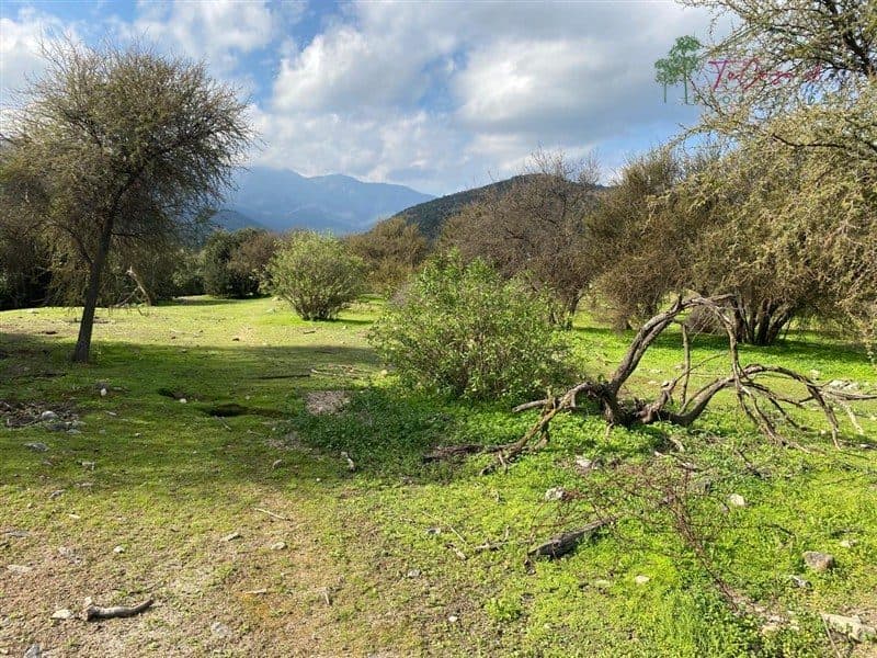 Parcela en Curacaví