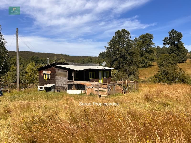 Campo en Fresia