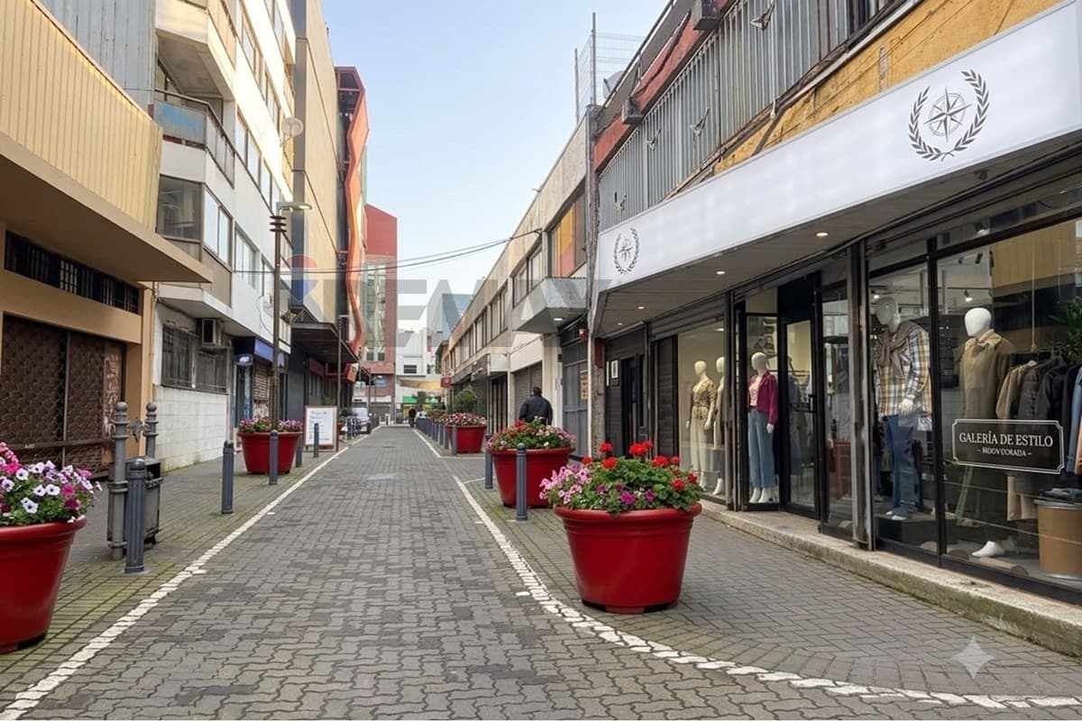 Local comercial en Concepción