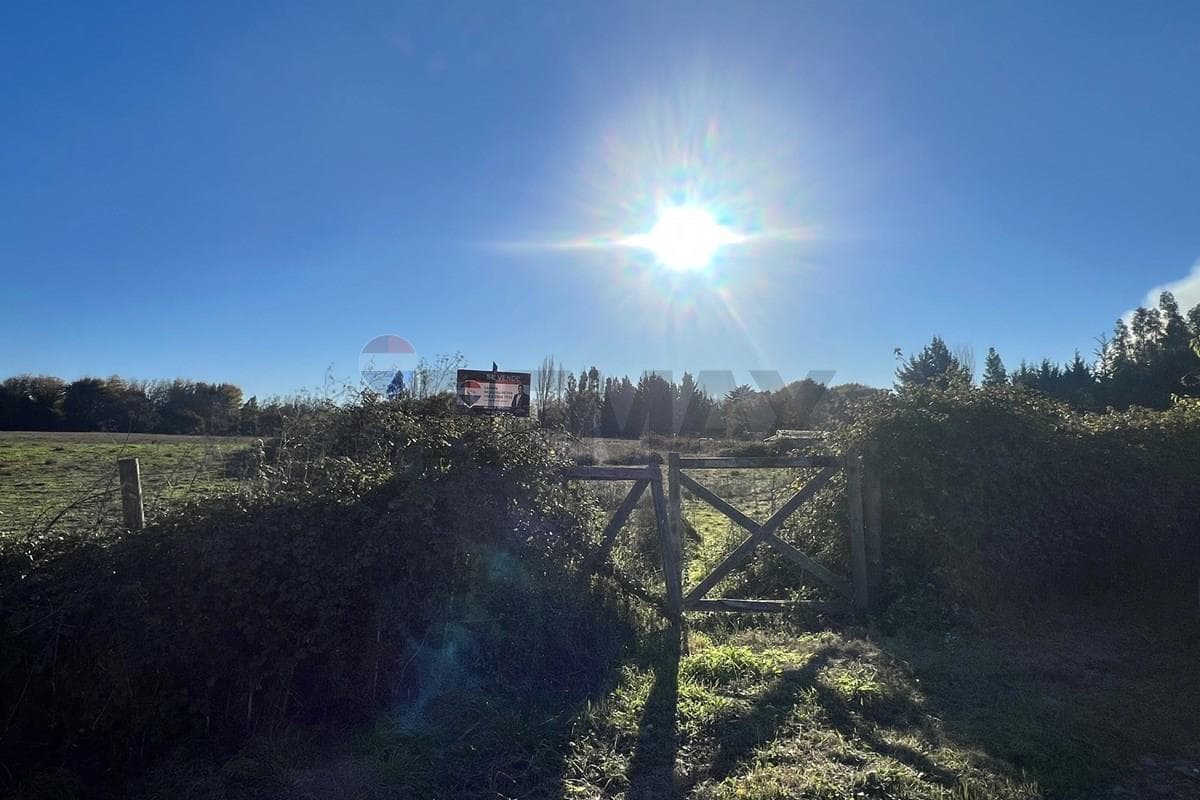 Terreno en venta, Negrete
