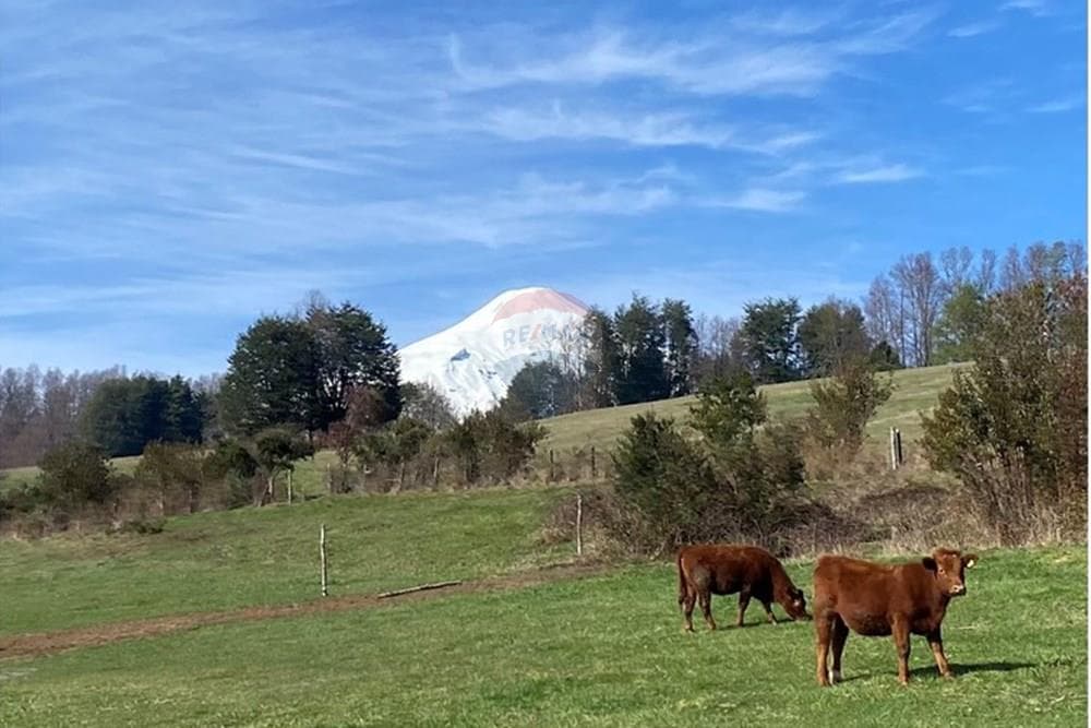 Parcela en Pucón