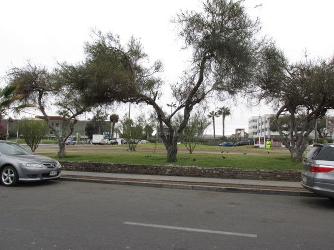 Oficina en Arica