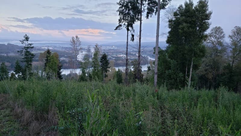 Parcela en Valdivia
