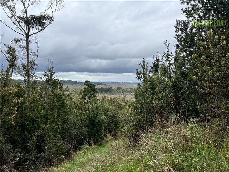 Parcela en Puerto Montt