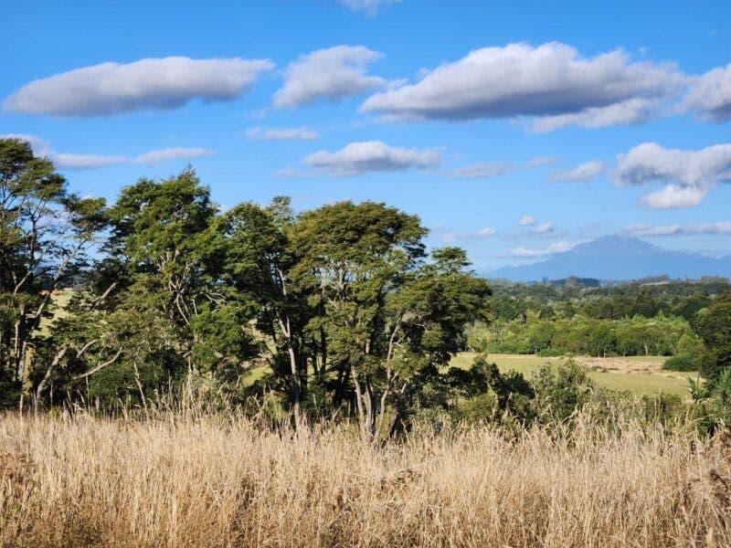 Parcela en Llanquihue