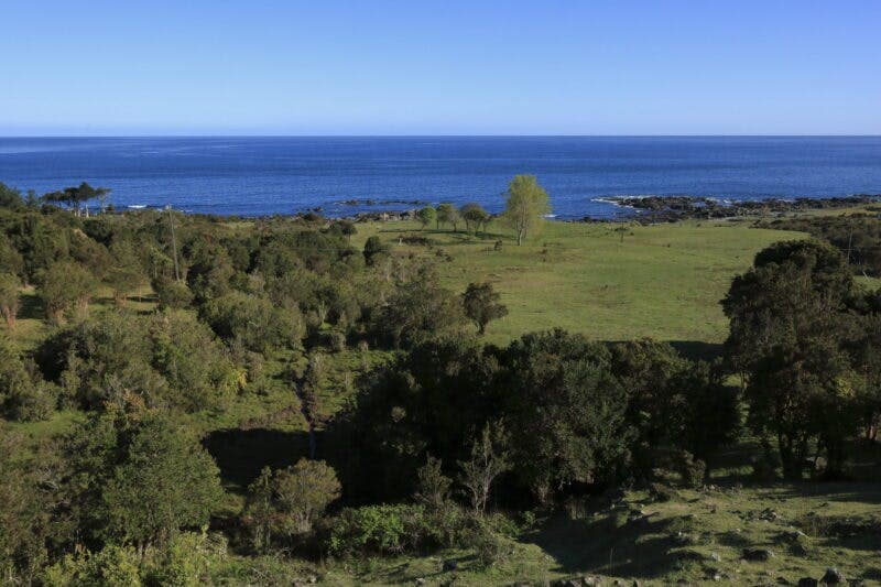 Parcela en Valdivia