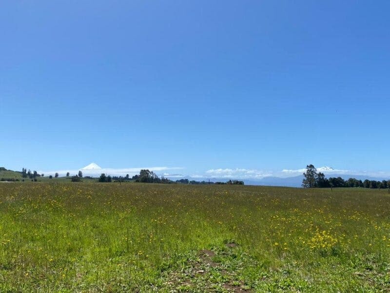 Parcela en Llanquihue