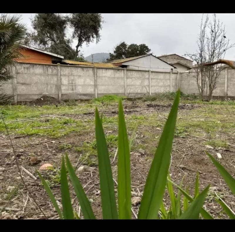 Terreno en Zapallar