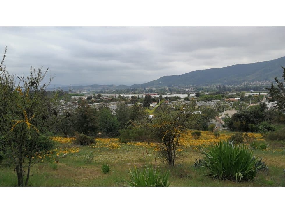 Terreno en Limache