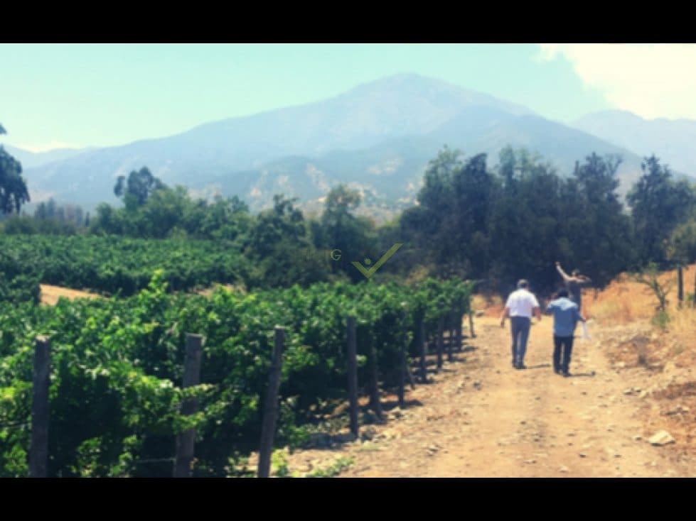 Terreno en Buin