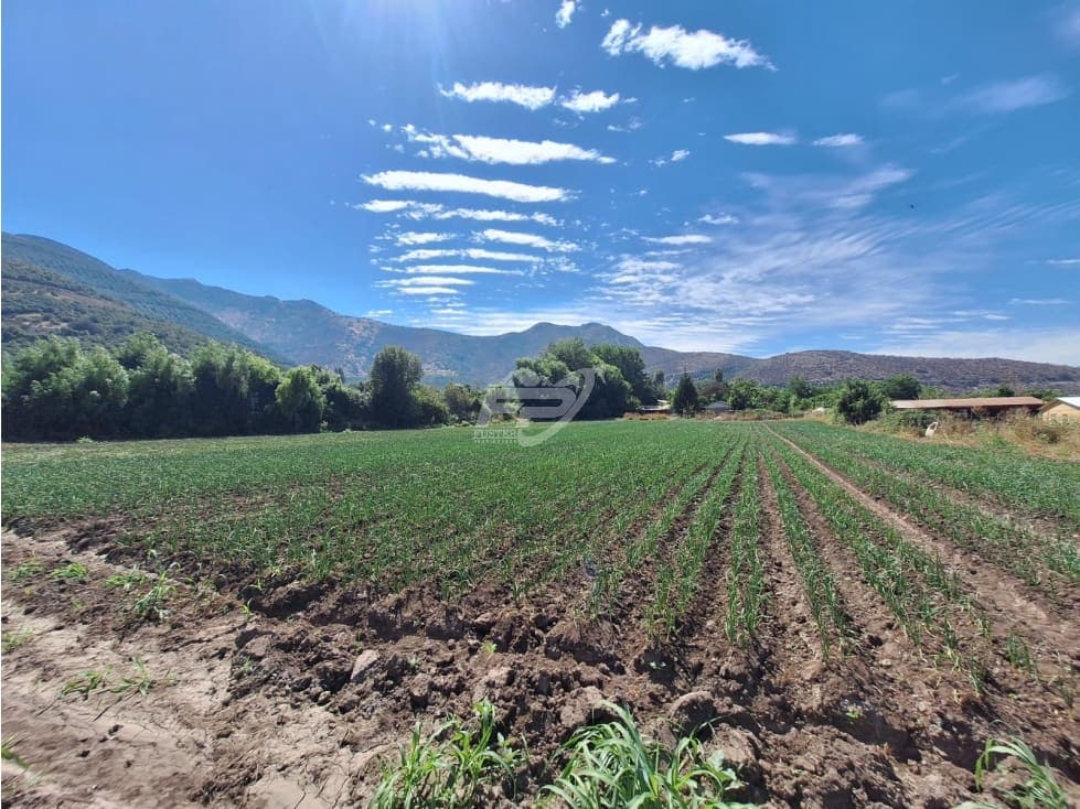 Terreno en Catemu
