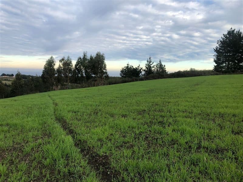 Terreno en Cobquecura