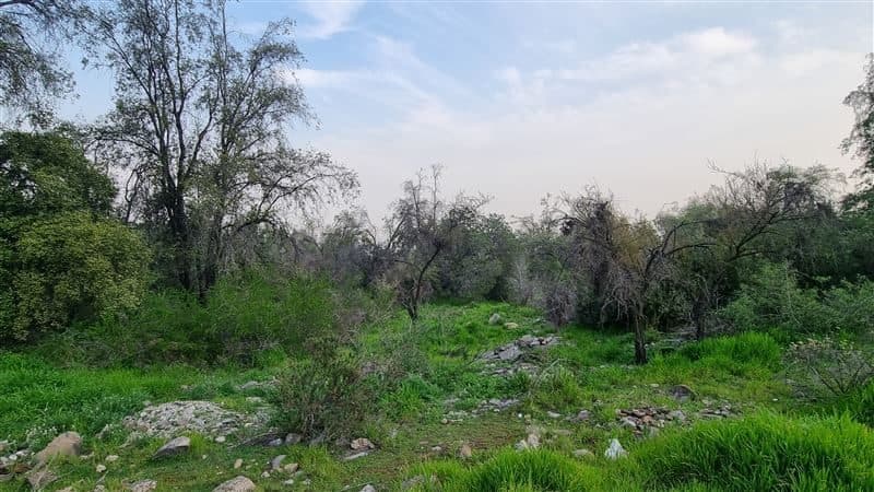 Terreno en Vitacura