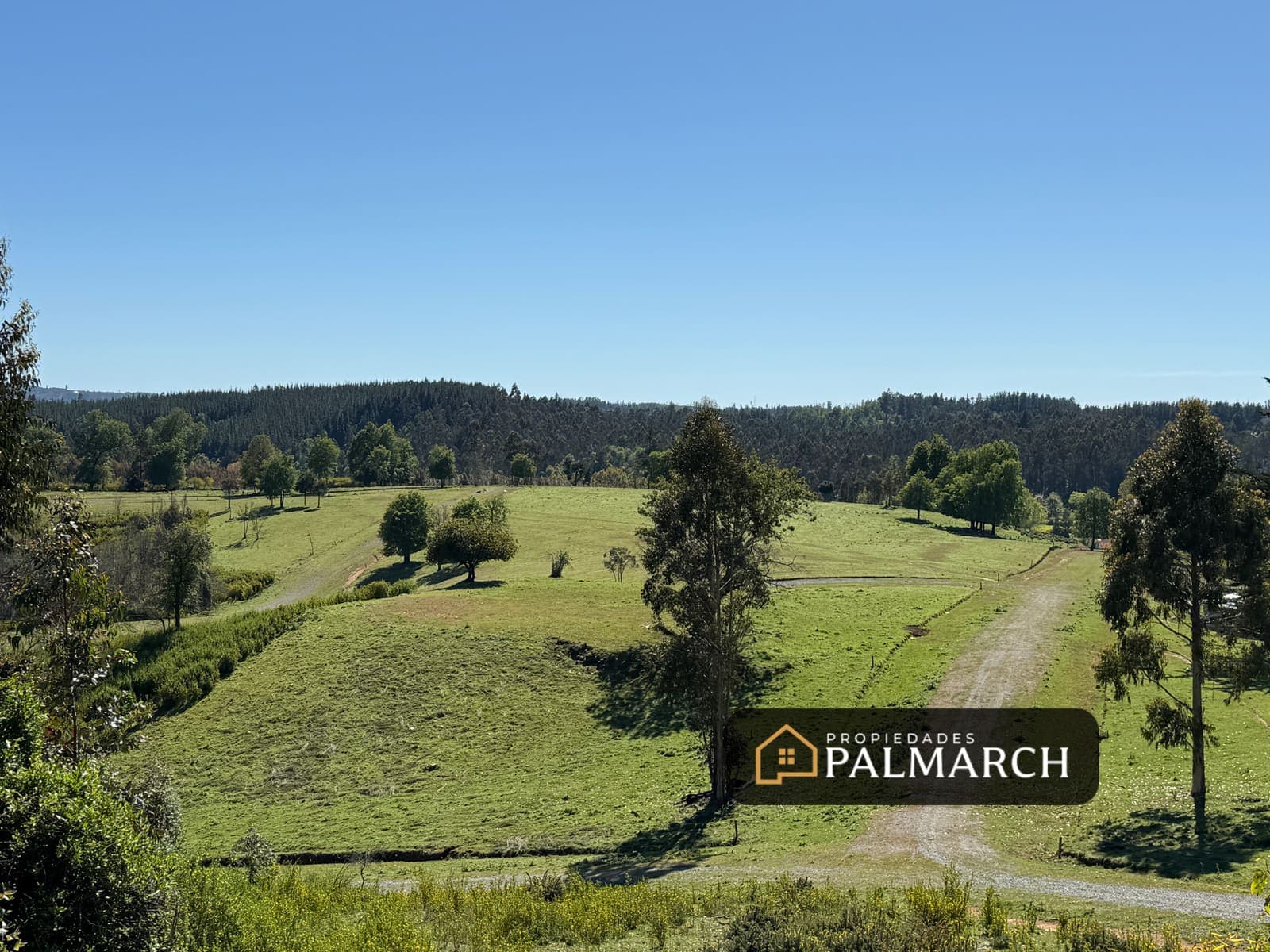 Parcela en venta, Penco