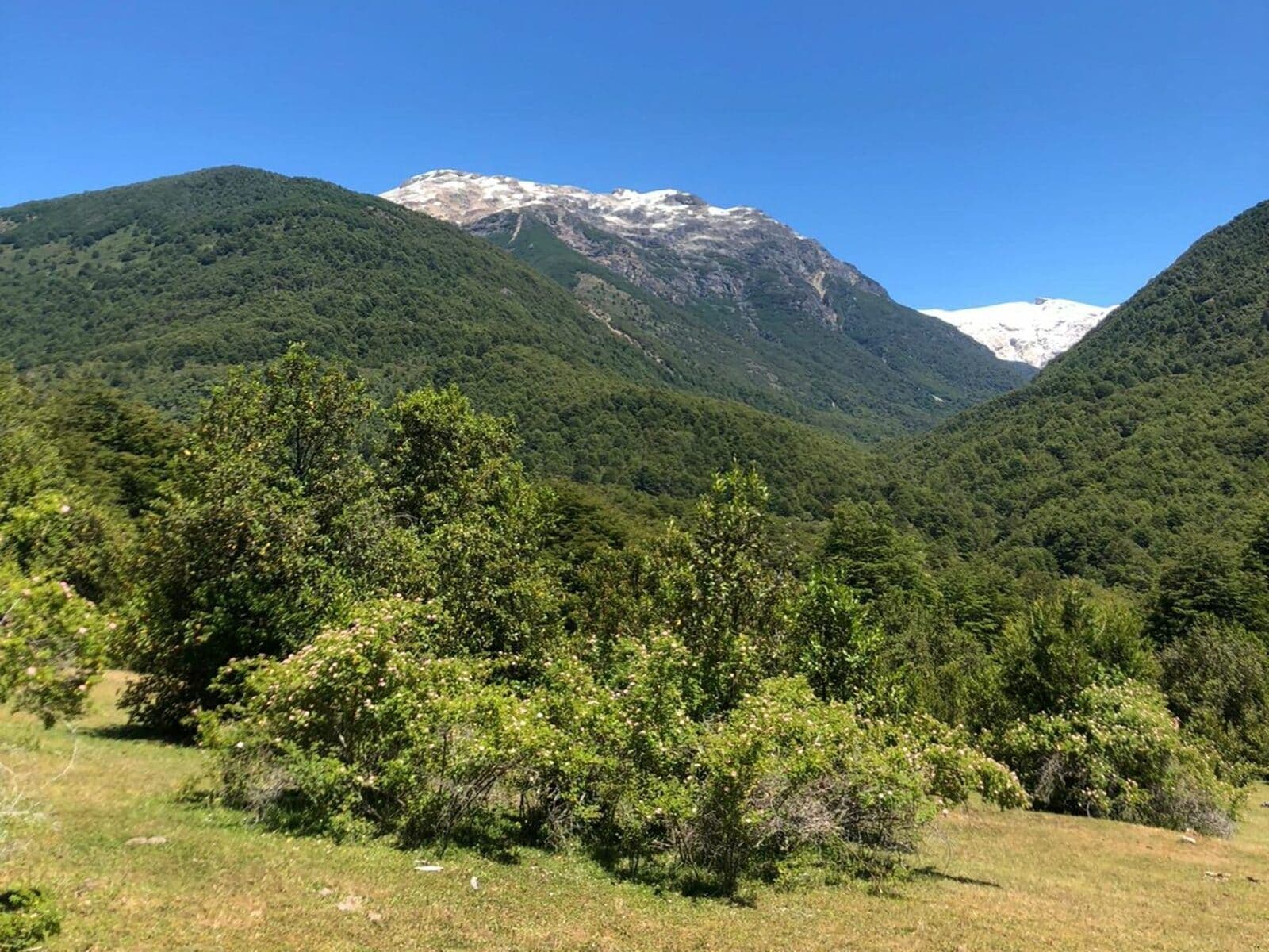 Campo en Cochamó