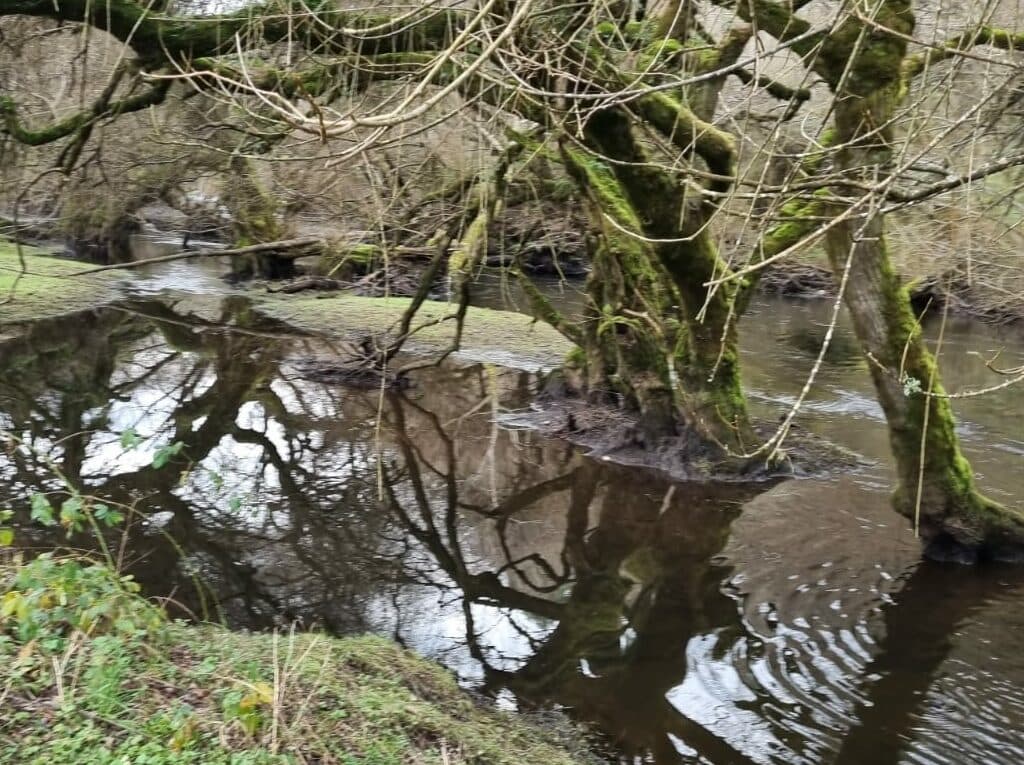 Campo en Río Negro