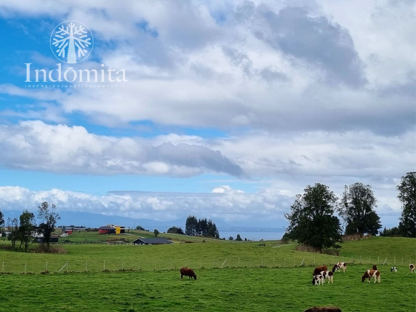 Parcela en Llanquihue