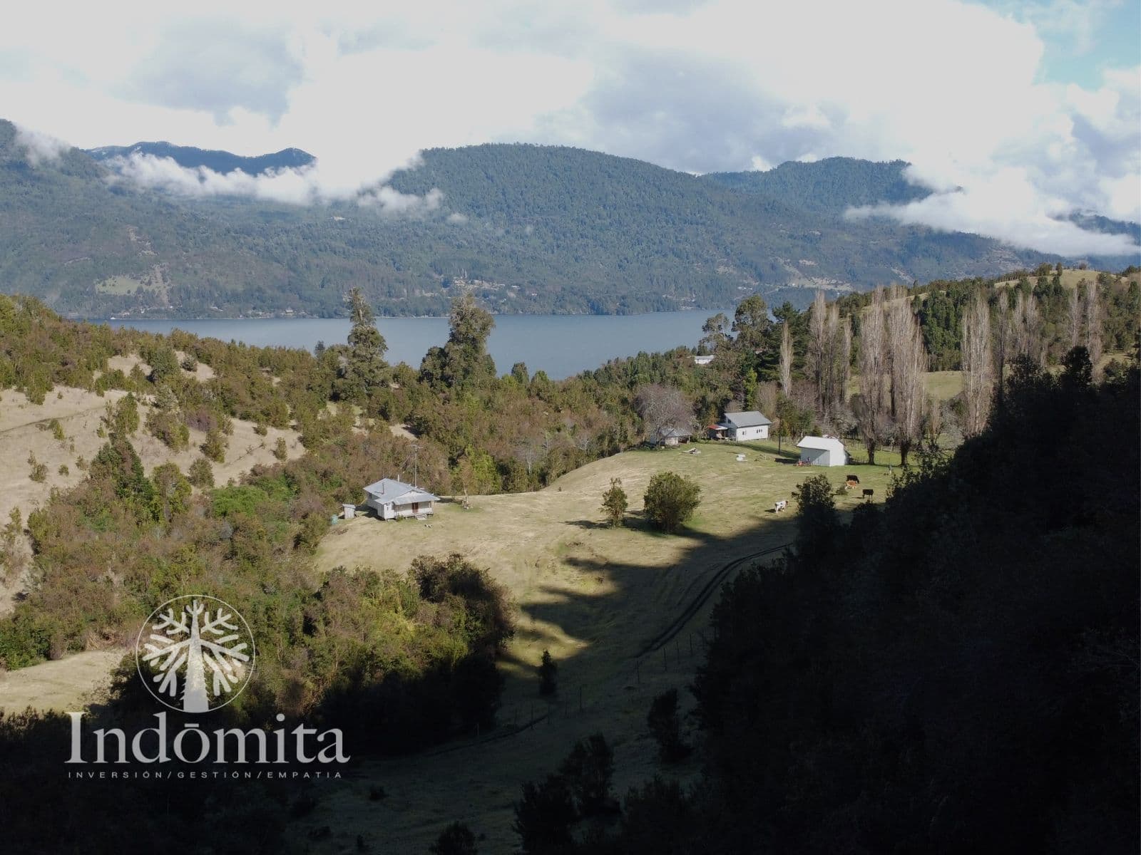 Campo en Puerto Octay
