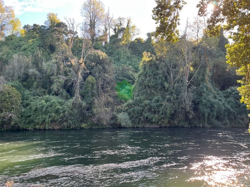 Parcela en Osorno