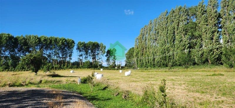 Parcela en Osorno