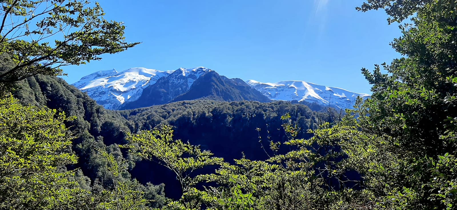 Terreno en Puerto Montt