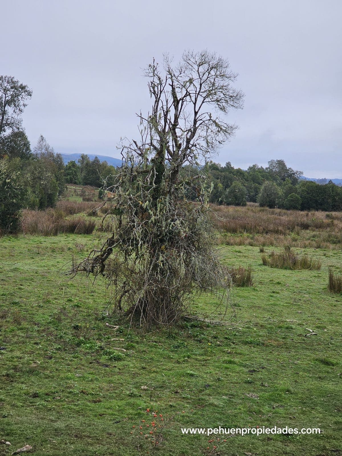 Terreno en Mariquina