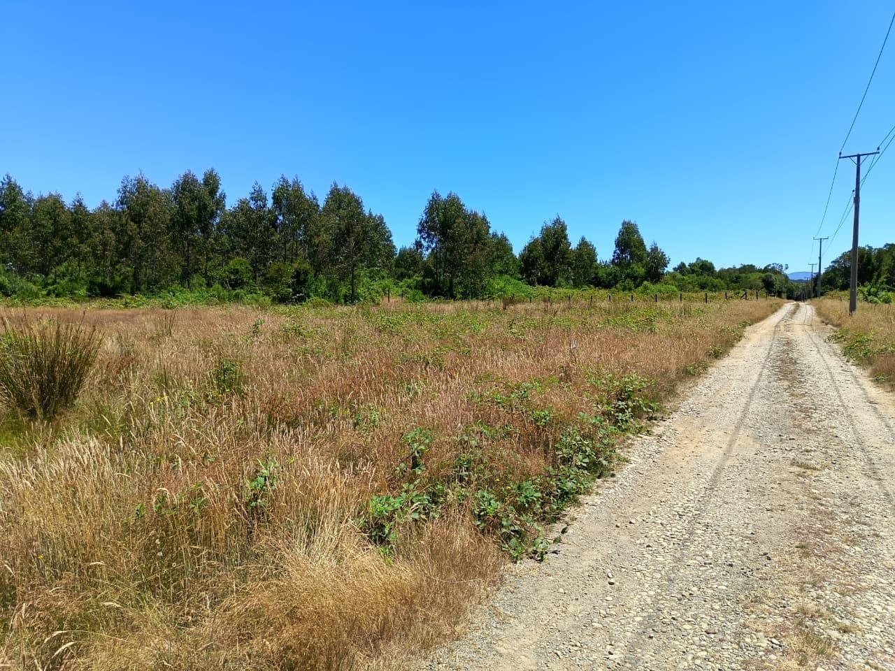 Parcela en Valdivia