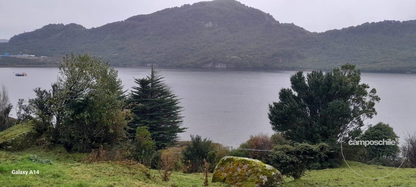 Campo en Aysén