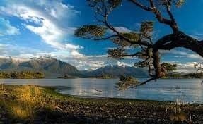 Campo en Aysén