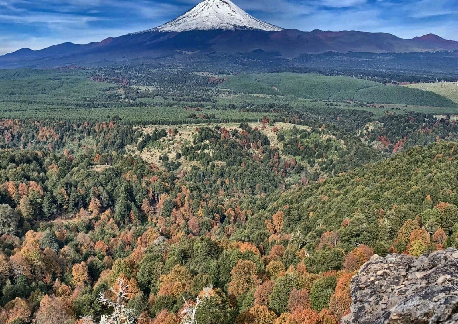 Parcela en Vilcún