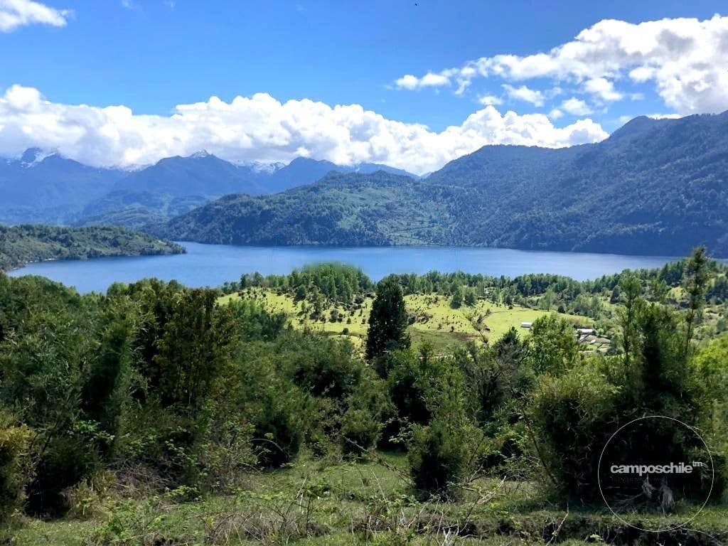 Campo en Futrono