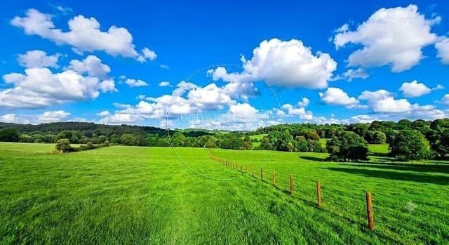 Campo en venta, Los Muermos