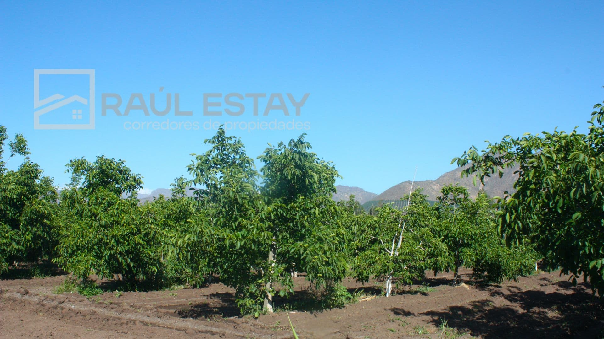 Parcela en Llaillay