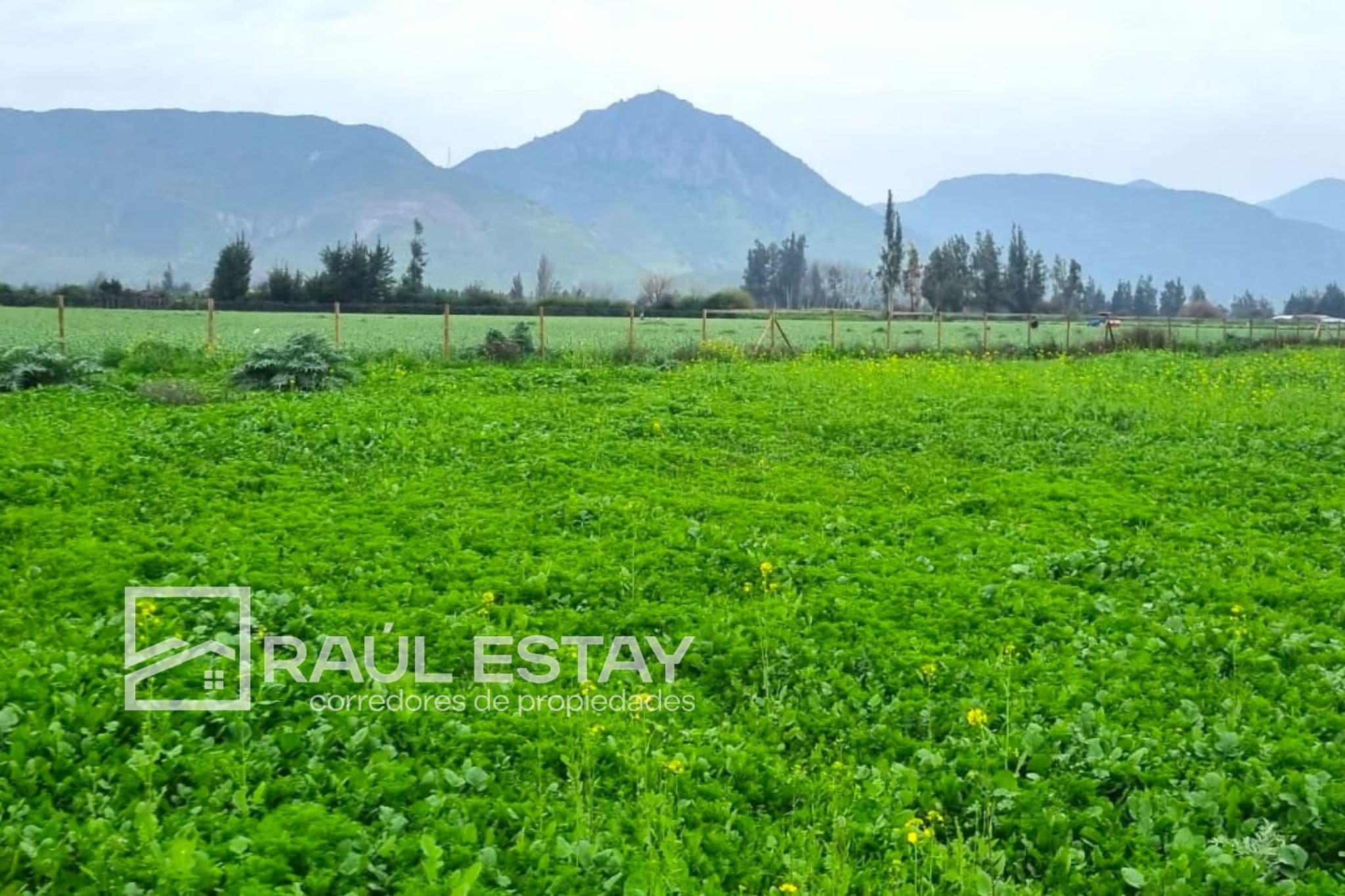 Terreno en Llaillay