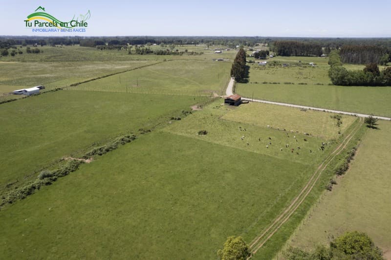 Parcela en Frutillar