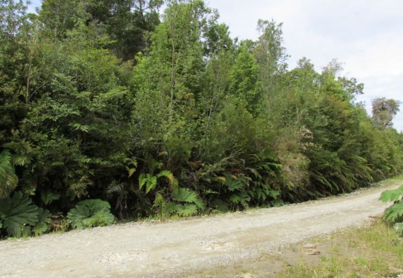 Parcela en Chonchi